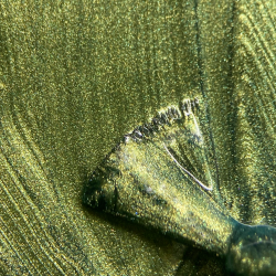 Cool Colors 012 - Kaki Duo Chrome