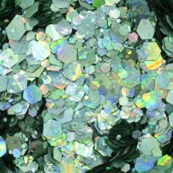 Paillettes - Holo Mix 8  - 1