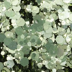 Paillettes - Mix 3  - 1