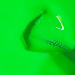 Cool Colors 156 - Néon Green  - 1