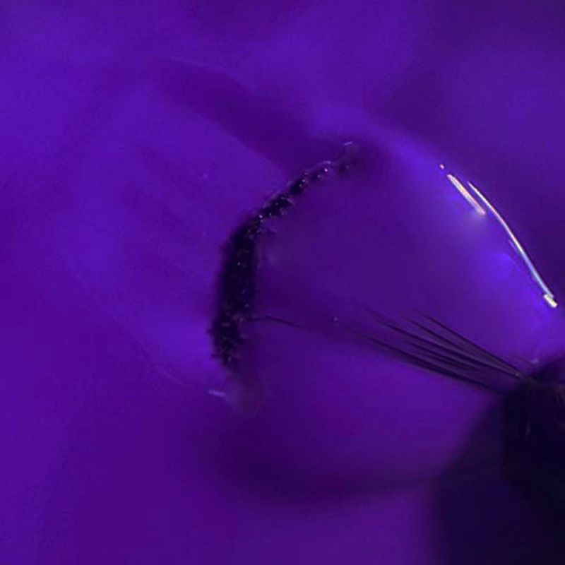 Cool Colors 108 - Violet Vibrant  - 1