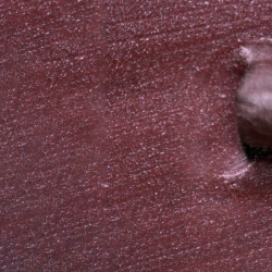 Cat Eye - Chocolat  - 1