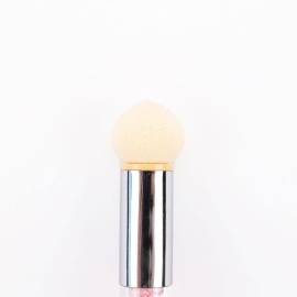 Sponge Brush
