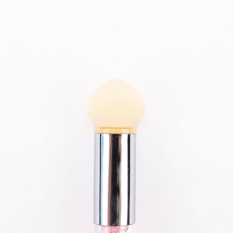 Sponge Brush