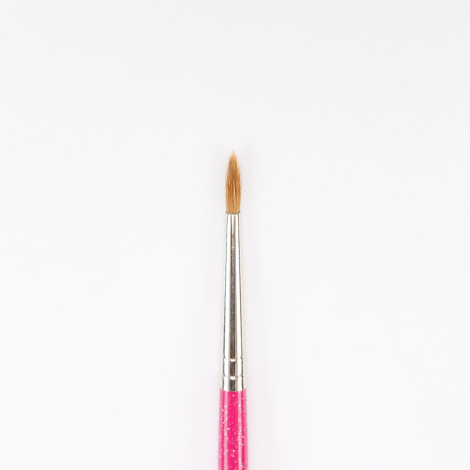 Paint & Draw