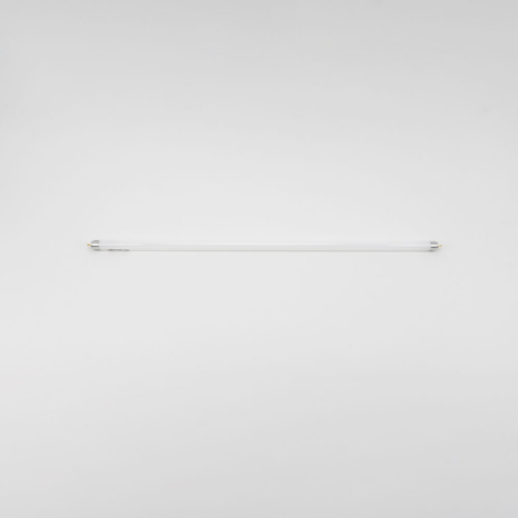Néon pour lampe