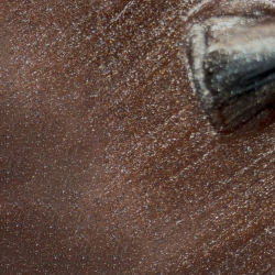 Cat Eyes - Cappuccino  - 1