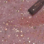 Vernis Semi-Permanent Pétale or rose