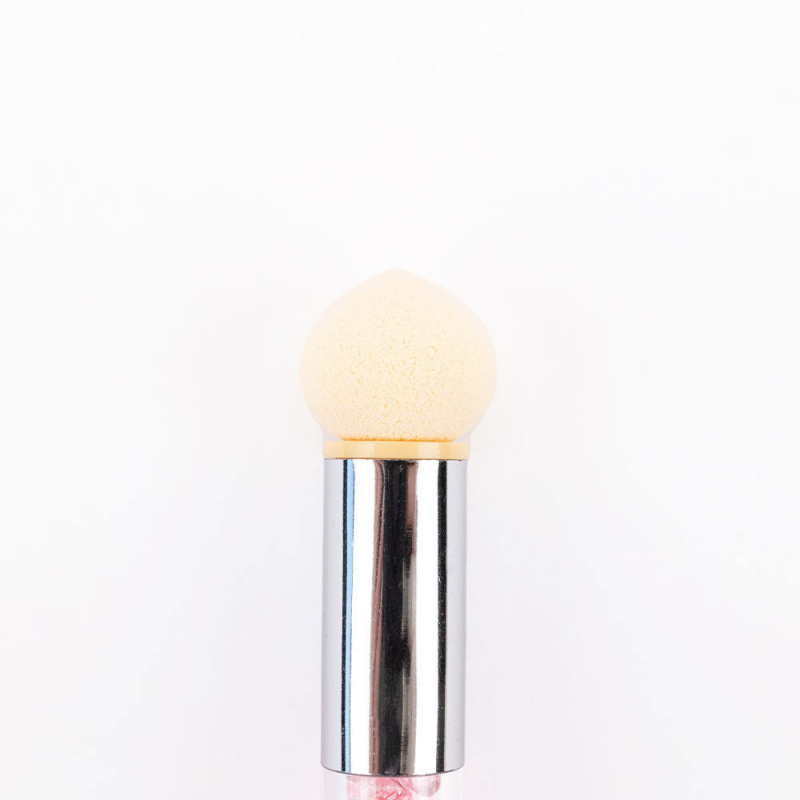Sponge Brush  - 1