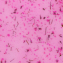 Gel Flower - Lys