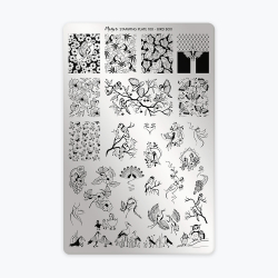 Plaque 100 - Bird Box  - 1