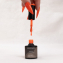 Vernis Semi-Permanent Mangue