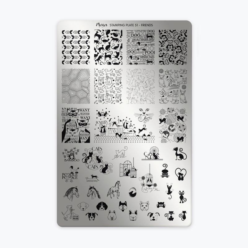 Plaque 51 - Friends  - 1