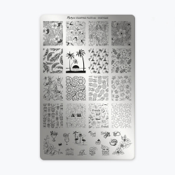 Plaque 66 - Exotique  - 1