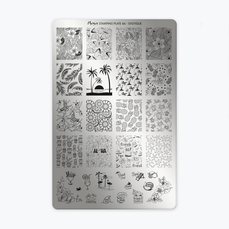 Plaque 66 - Exotique  - 1