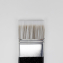 Dust remover