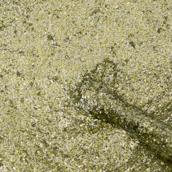 Cool Colors 089 - Vert Doré